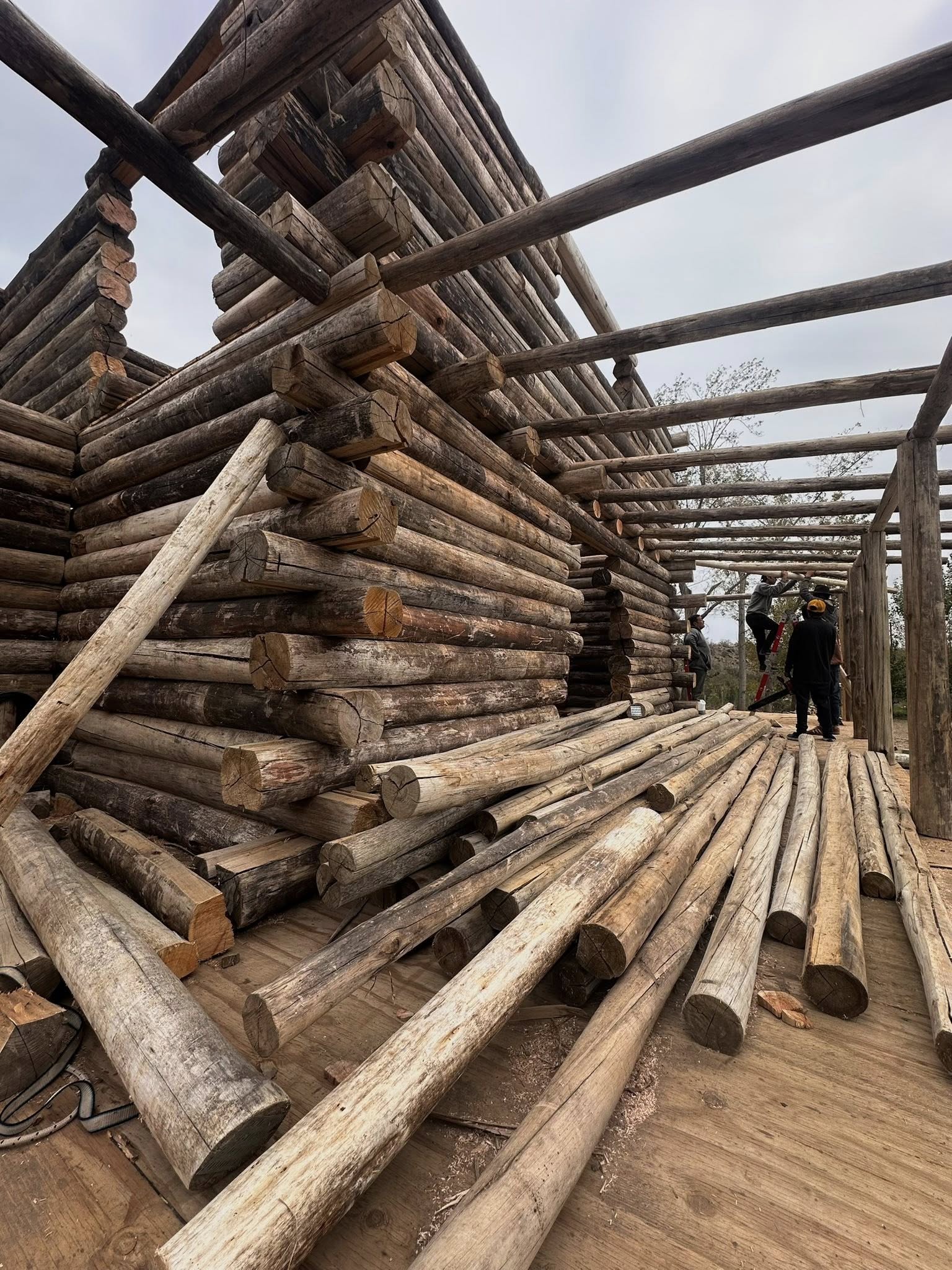 Construcción de cabaña de troncos